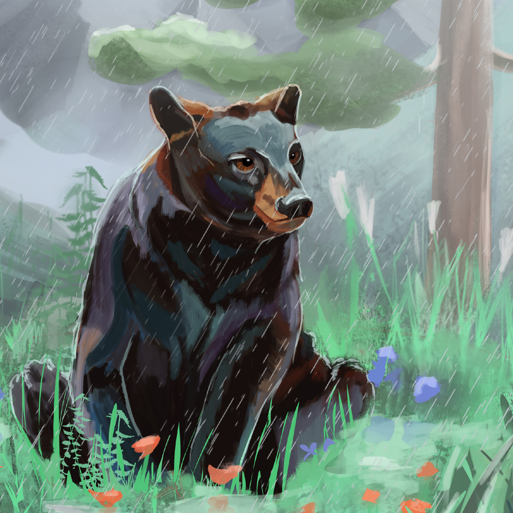 Bear