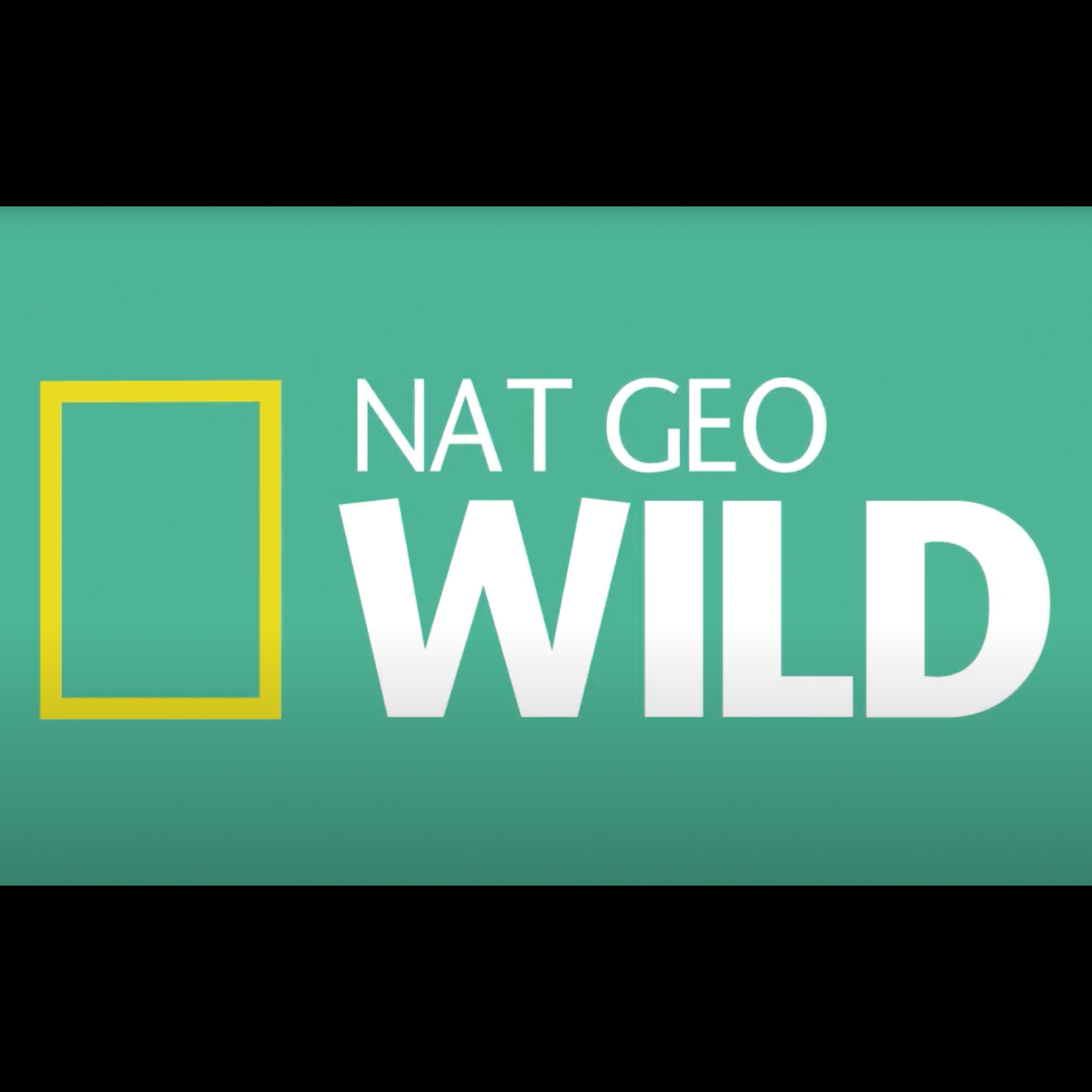 Nat Geo 3