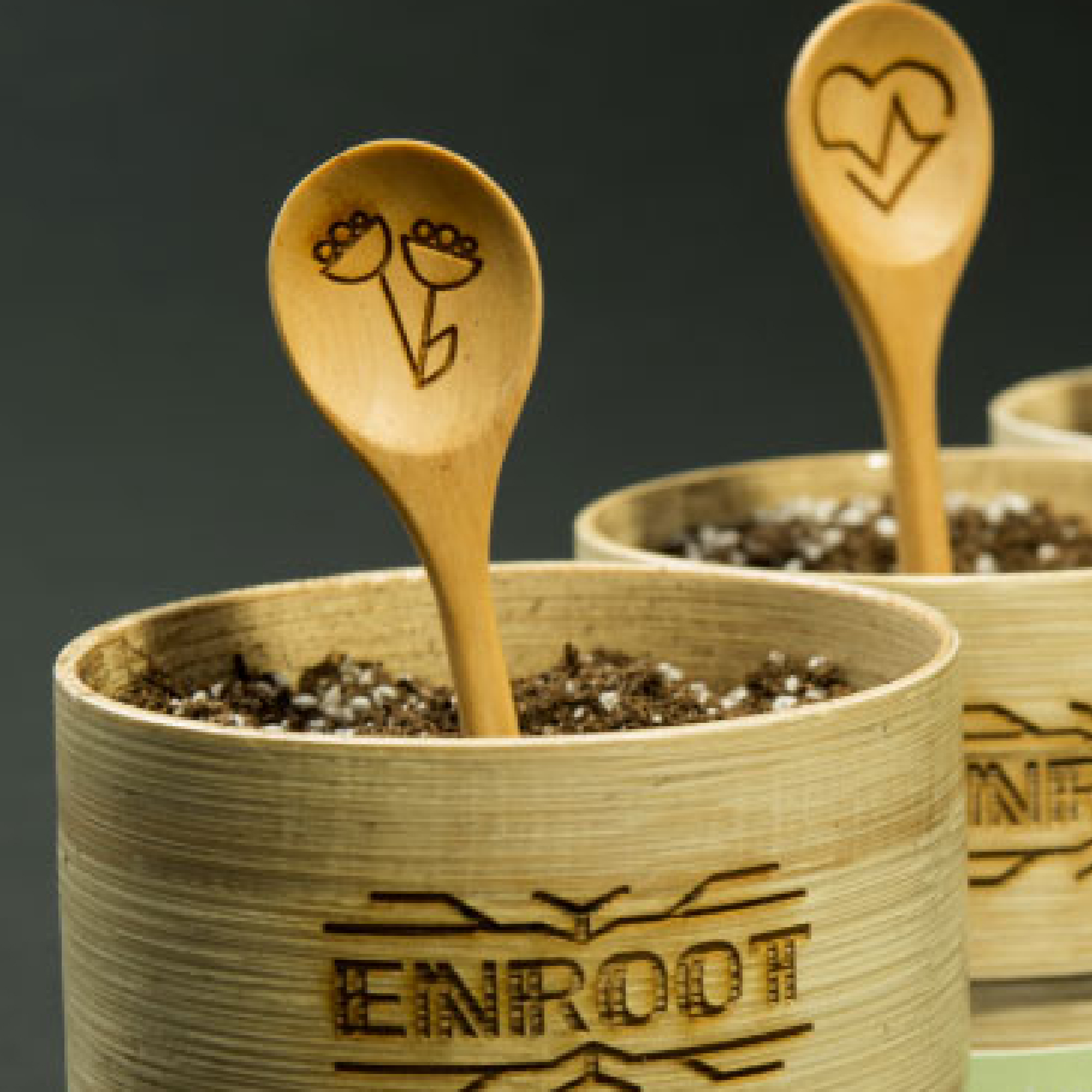Enroot 1